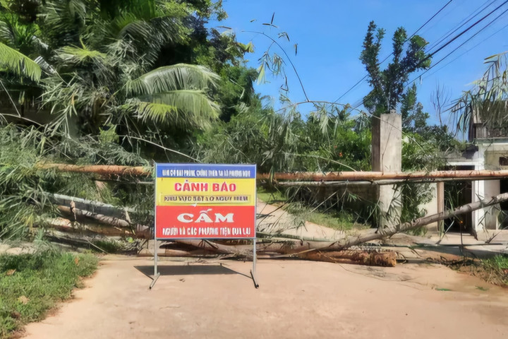 Thanh Hóa: Di dời các hộ dân khi phát hiện vết nứt dài trên đồi