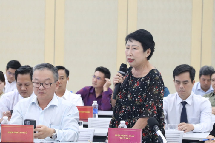 Lãnh đạo Bình Dương trao đổi với các hiệp hội ngành hàng, doanh nghiệp