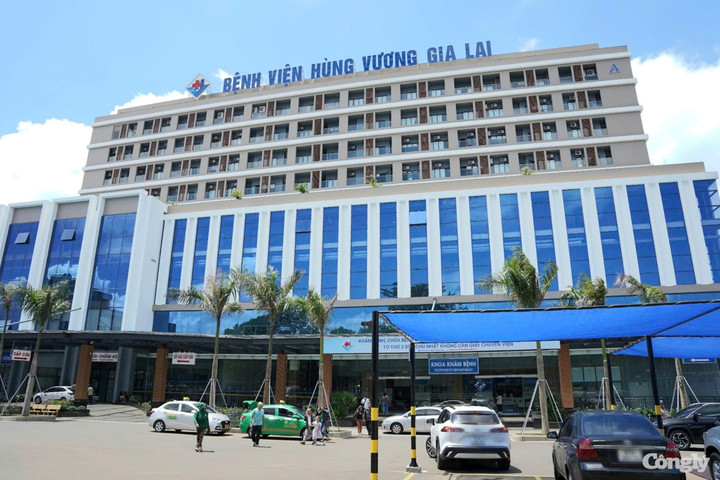 Gia Lai: Một phụ nữ nhảy từ tầng 9 của bệnh viện tử vong