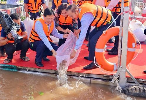 Thả cá tái tạo lại nguồn lợi thủy sản tại khu vực ĐBSCL