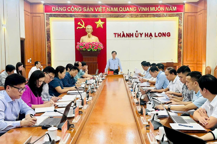 Chung sức đồng lòng quyết tâm hồi sinh sau cơn bão dữ