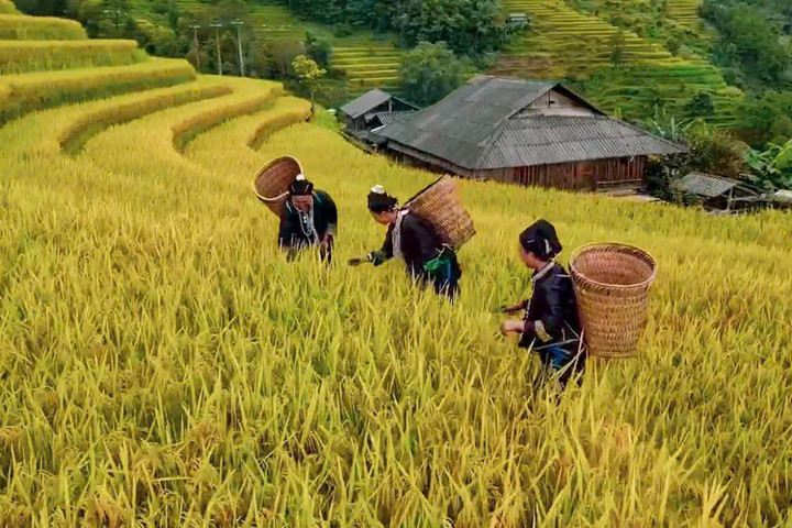 Những ngôi làng cổ đẹp như thiên đường ở Hà Giang
