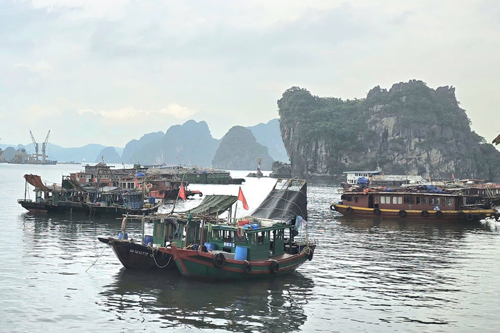 Quảng Ninh: Hoàn thiện khu neo đậu tránh, trú bão
