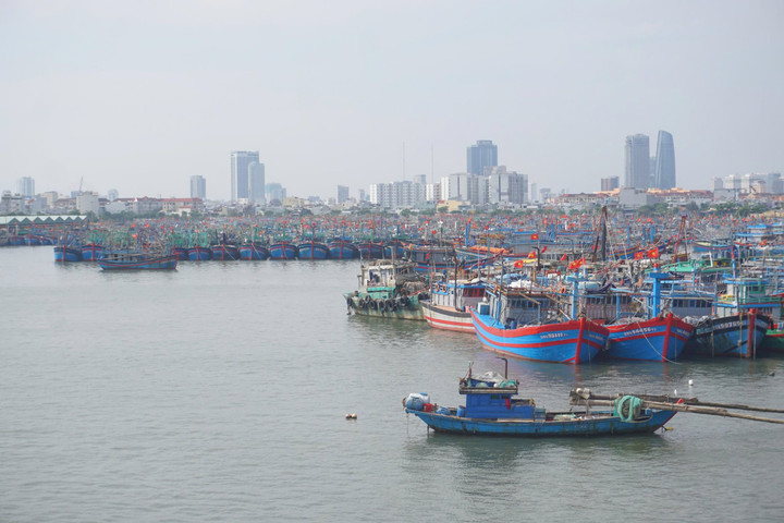 Đà Nẵng: Triển khai các phương án xử lý ngập úng khi có mưa lớn kéo dài