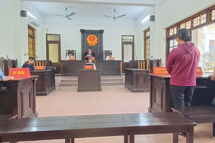 Tuyên án vụ nông dân khởi kiện UBND xã đơn phương chấm dứt hợp đồng đấu thầu