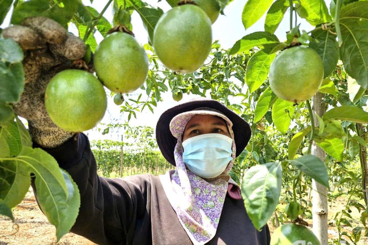 Kiến tạo nền nông nghiệp để hơn 5 triệu ha đất 'vùng Tây Nguyên cất cánh, phát triển'