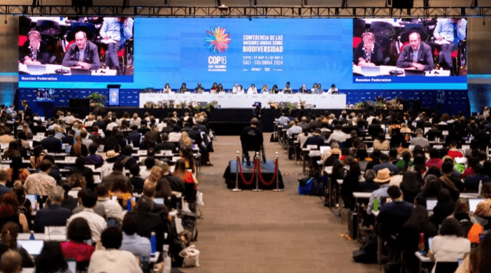 COP 16 không đạt được thỏa thuận tài trợ cho đa dạng sinh học