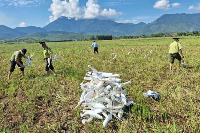 Giải cứu hàng trăm cá thể chim hoang dã mắc bẫy ở Huế