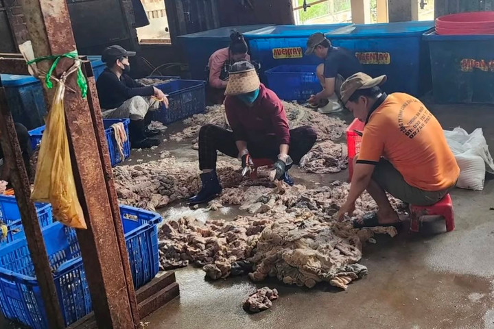 Phát hiện cơ sở chế biến mỡ heo “bẩn” quy mô lớn tại Biên Hòa