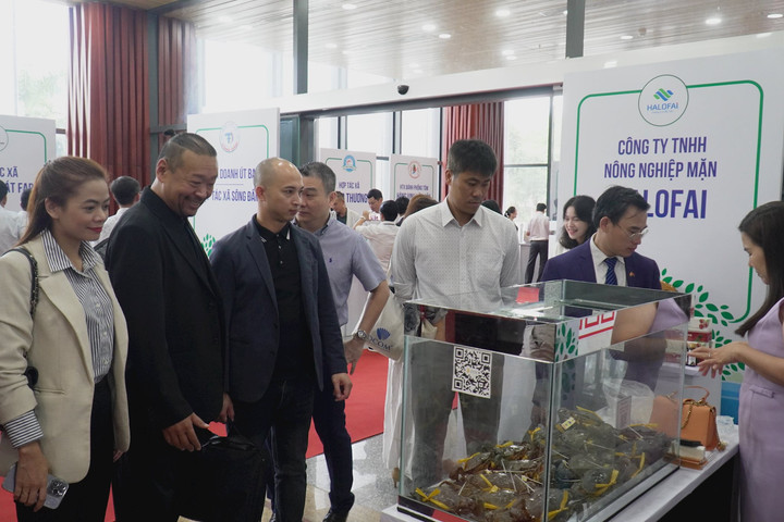 Hơn 100 doanh nghiệp trong và ngoài nước tìm kiếm đối tác tại Cà Mau