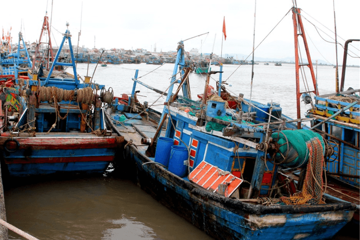 Các tỉnh, thành phố ven biển chủ động ứng phó bão số 9 (MAN-YI)