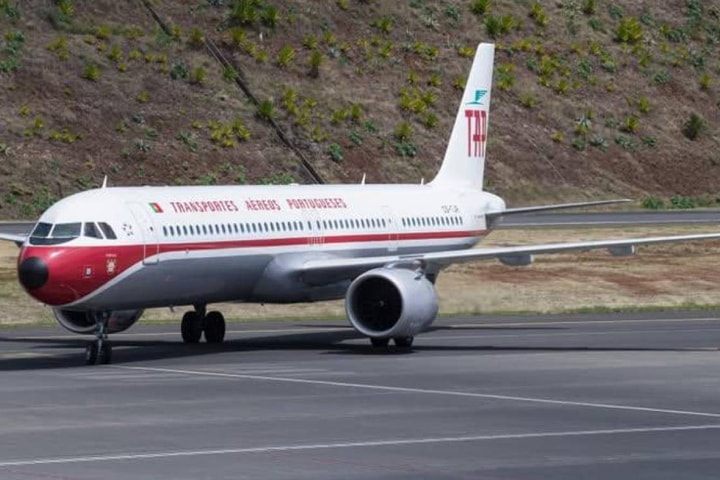 132 con chuột thoát khỏi lồng, chạy tán loạn trên máy bay