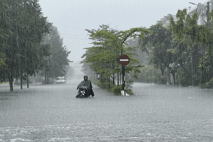 Ứng phó với mưa lớn ở miền Trung, rét đậm, rét hại sắp xảy ra ở miền Bắc