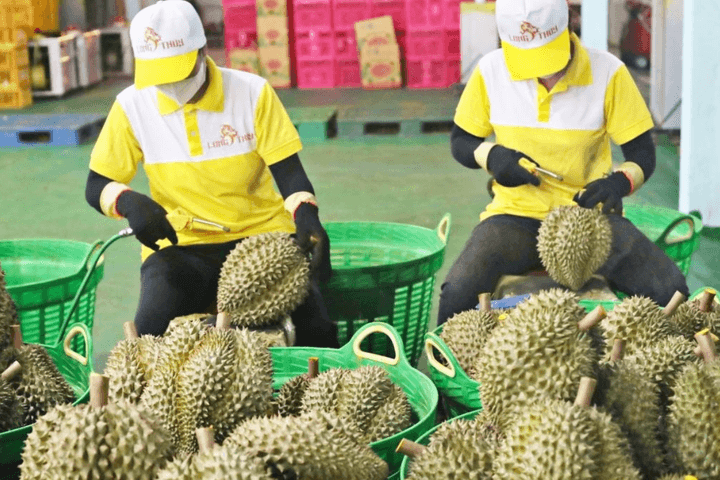 Tăng tốc xuất khẩu rau quả Việt Nam