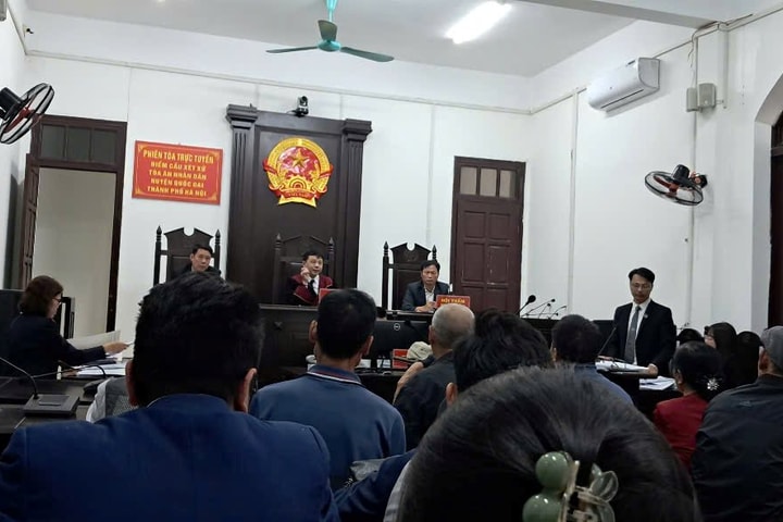 Hủy hoại tài sản trên đất rừng, 7 bị cáo lĩnh án