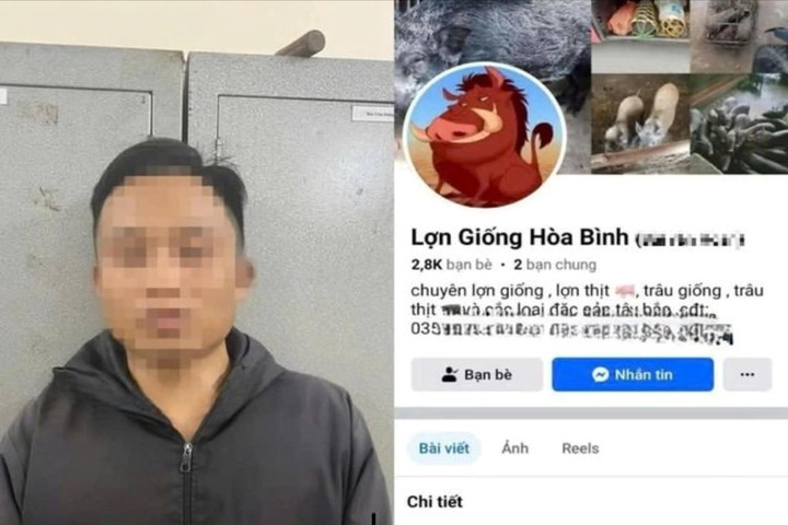 Lừa mua bán lợn trên mạng để chiếm đoạt tiền đặt cọc