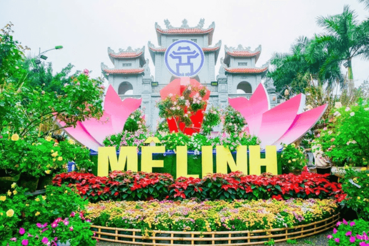 Sắp diễn ra Festival hoa Mê Linh lần thứ 2 - Lễ hội Hoa lớn nhất miền Bắc
