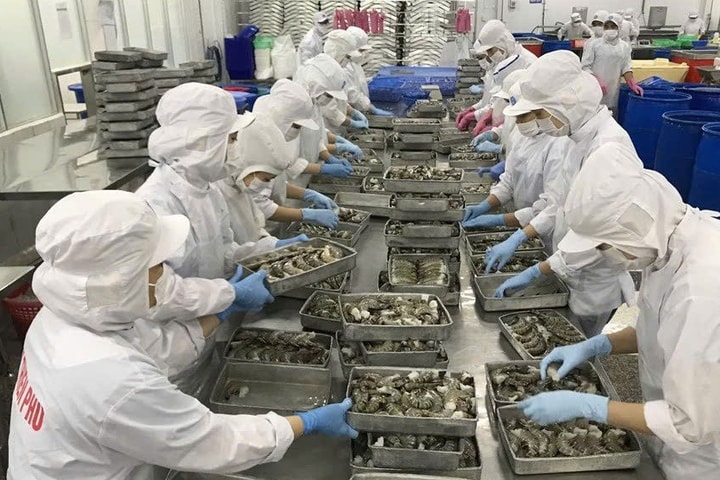 Bạc Liêu: Mức thưởng Tết dự kiến cao nhất là 51,2 triệu đồng