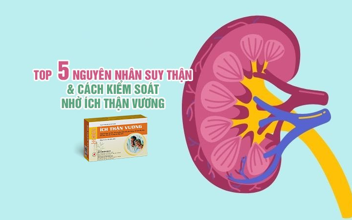 Top 5+ nguyên nhân suy thận và cách kiểm soát nhờ Ích Thận Vương
