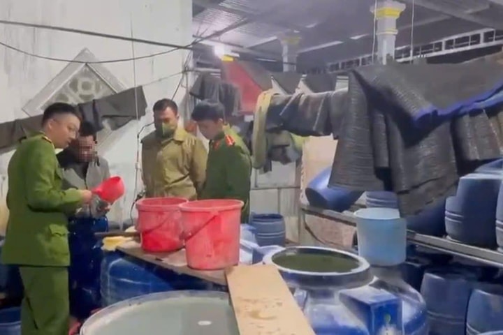 Phát hiện cơ sở sản xuất giá đỗ dùng chất kích thích tăng trưởng