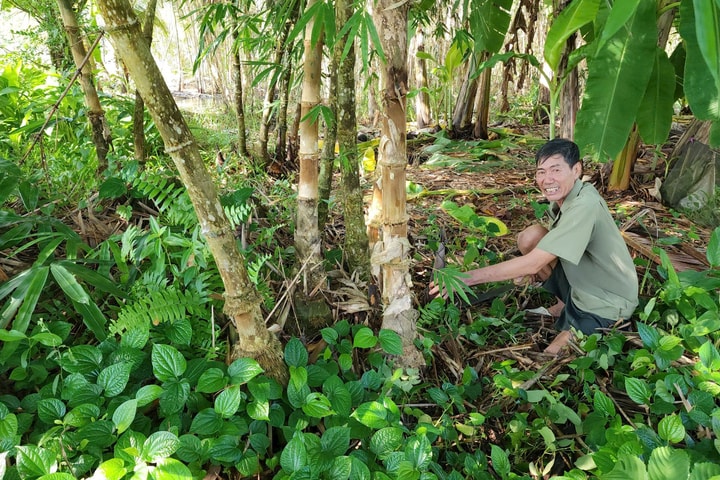 Chuyện về người thương binh "tàn nhưng không phế"