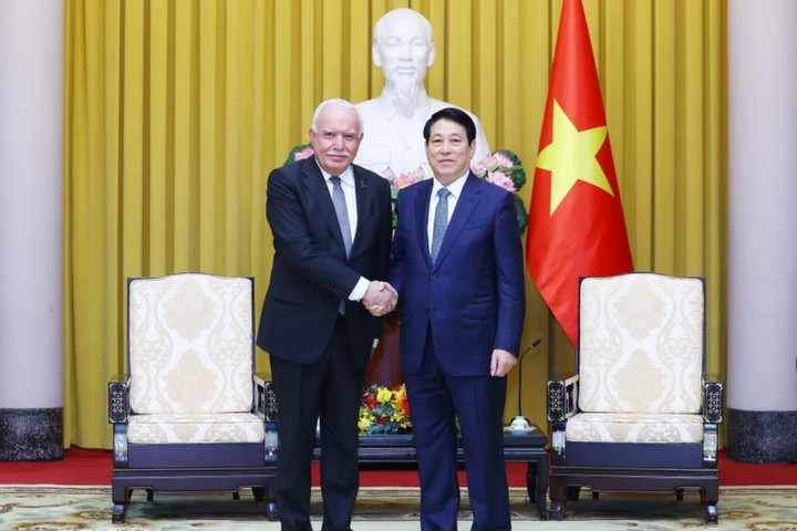 Việt Nam ủng hộ sự nghiệp đấu tranh chính nghĩa của nhân dân Palestine