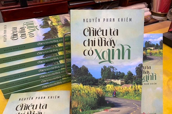 Thấy những cỏ xanh trong chiều tà