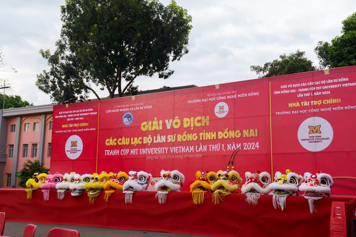 Khởi tranh giải vô địch các CLB Lân Sư Rồng tỉnh Đồng Nai