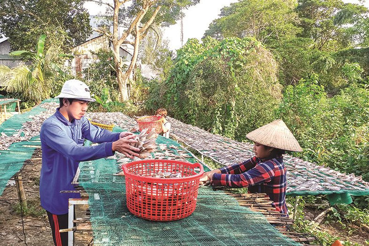 Nhộn nhịp mùa Tết ở làng khô Phú Thọ