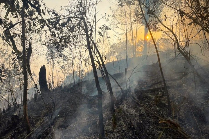 Đốt nương rẫy làm cháy khoảng 2ha rừng tại Bắc Kạn