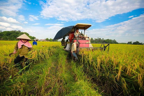 Nhiều bộ, ngành nhất trí miễn thuế sử dụng đất nông nghiệp đến 31/12/2030