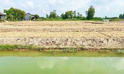 Đồng Tháp: Chấn chỉnh tình trạng khai thác đất mặt trên địa bàn