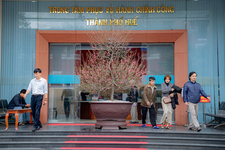 TP. Huế: Nhộn nhịp những ngày làm việc đầu năm