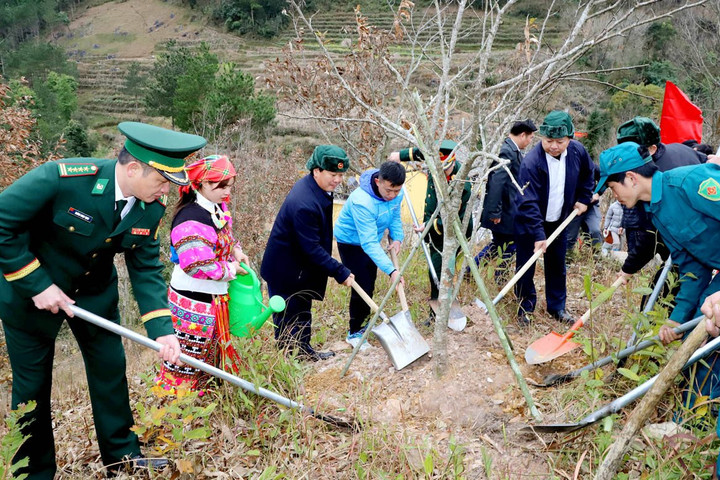 Tết trồng cây nơi địa đầu Tổ quốc