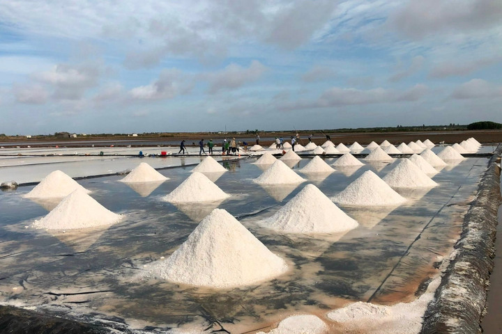 Nhiều sự kiện nổi bật tại Festival nghề Muối Việt Nam - Bạc Liêu năm 2025