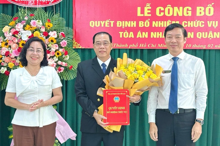 Điều động Chánh án TAND Quận 12 làm Chánh án TAND Quận 11