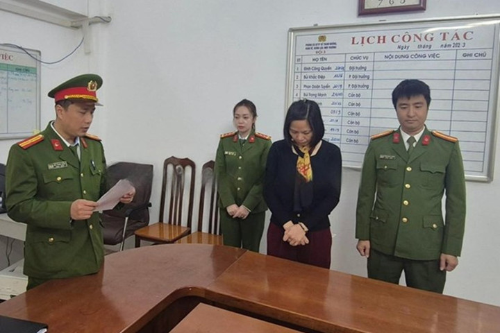 Một phụ nữ bị khởi tố vì làm giả báo cáo đánh giá tác động môi trường