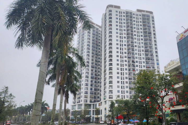 Chủ đầu tư Chung cư Tecco Center Point bị xử phạt 538 triệu đồng