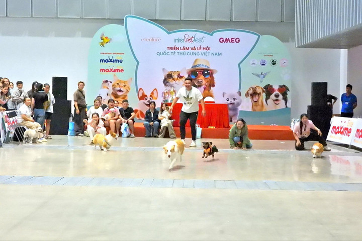 Lễ hội thú cưng lớn nhất Việt Nam diễn ra với nhiều hoạt động hấp dẫn