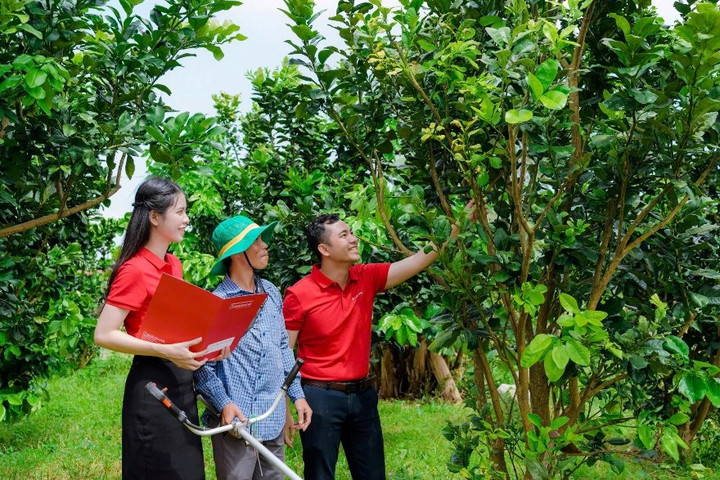 Agribank tăng khả năng tiếp cận vốn cho khách hàng qua tổ vay vốn