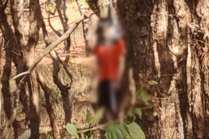 Phát hiện người đàn ông treo cổ ở rừng thông