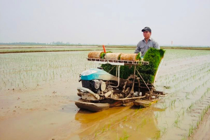Hải Dương: Dư nợ tín dụng chính sách đạt gần 5.542 tỷ đồng