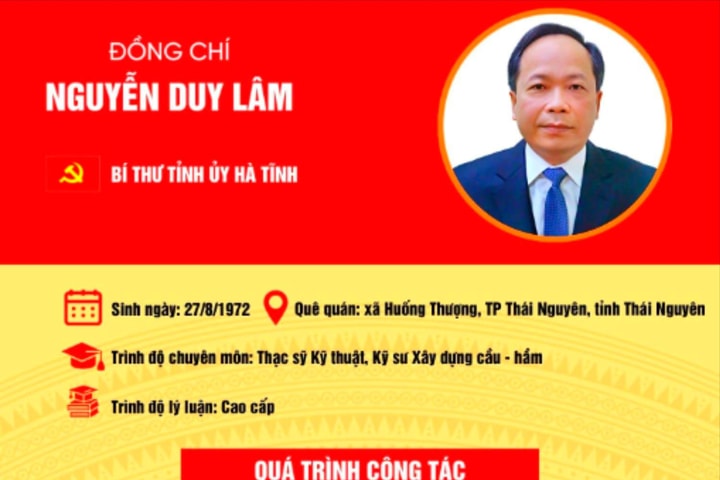 Thứ trưởng Bộ GTVT Nguyễn Duy Lâm giữ chức Bí thư Tỉnh ủy Hà Tĩnh