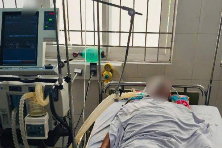 3 ngày 4 người nhập viện do ăn cá nóc