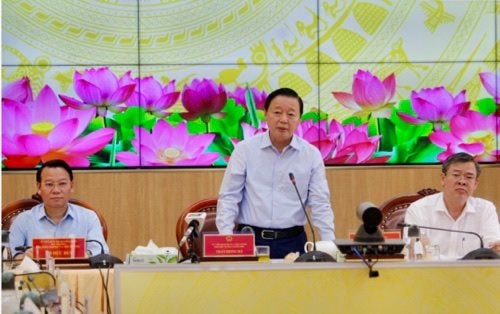 Phó Thủ tướng Trần Hồng Hà họp tháo gỡ về sản xuất và thị trường lúa gạo tại ĐBSCL