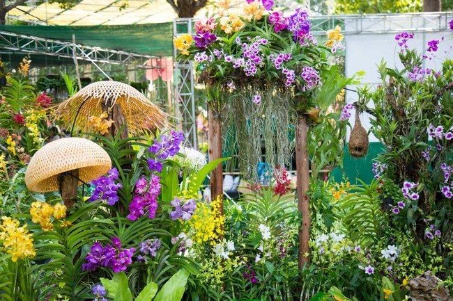 Festival hoa lan TP.HCM lấy cảm hứng từ hai đoàn tàu Thống Nhất