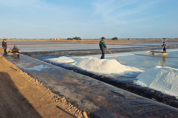 Đảm bảo sinh kế, nâng cao thu nhập cho diêm dân