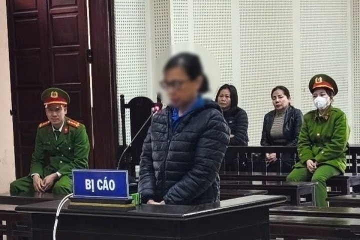 Lừa bán đất ảo cho nhiều người, lĩnh án 29 năm tù