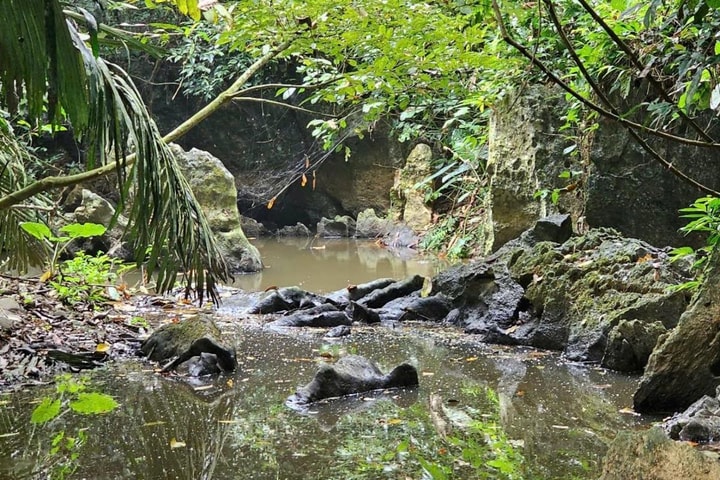 Thanh Hóa: Nguyên nhân nước suối Lèn Cò Noóng bị ô nhiễm