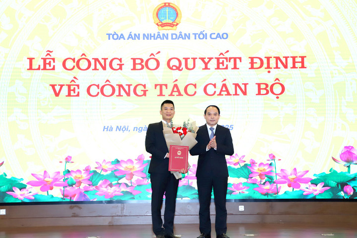 Bổ nhiệm Thư ký Bí thư Trung ương Đảng, Chánh án TANDTC